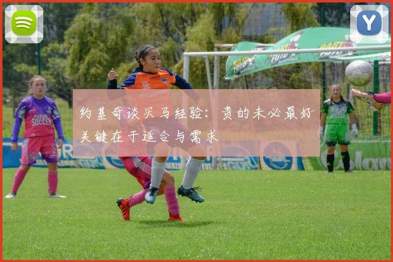 约基奇谈买马经验：贵的未必最好关键在于适合与需求